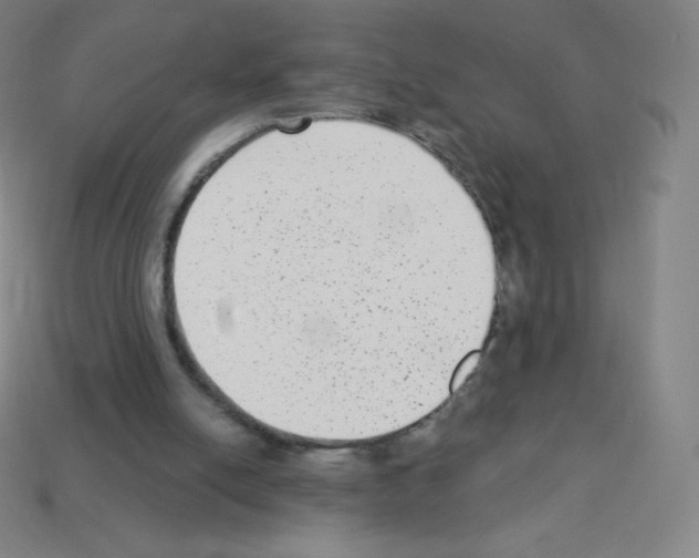 X0000113100054200910091147
