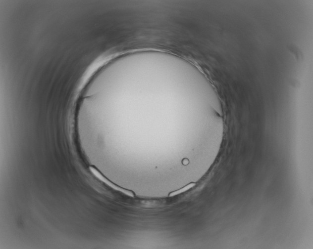 X0000113100056200910091147