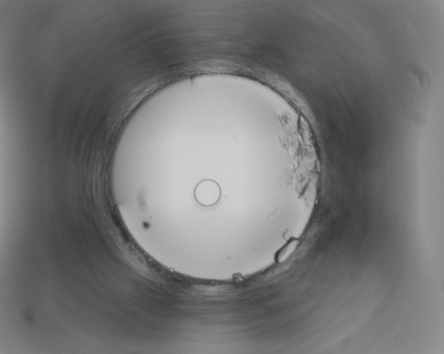 X0000113100057200910091147