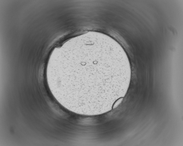 X0000113100058200910091147