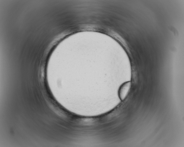 X0000113100059200910091147