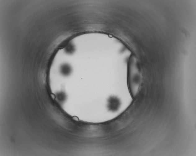 X0000113100060200910091147