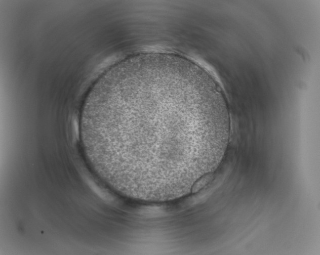 X0000113100061200910091148