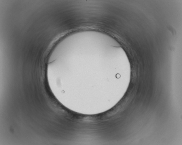 X0000113100064200910091148