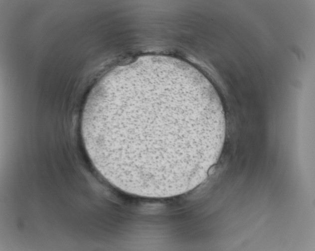 X0000113100066200910091148