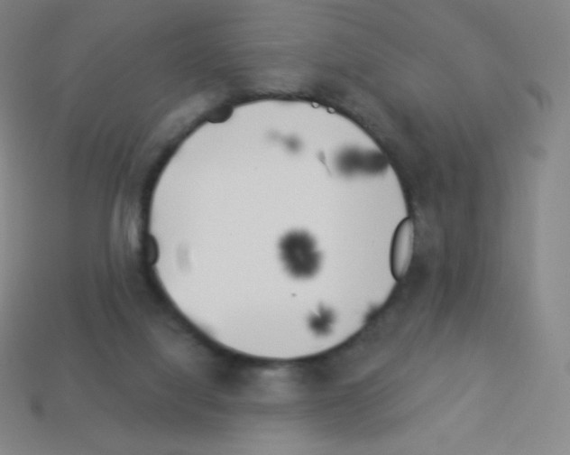 X0000113100068200910091148