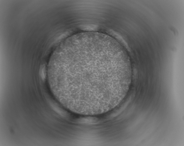 X0000113100069200910091148