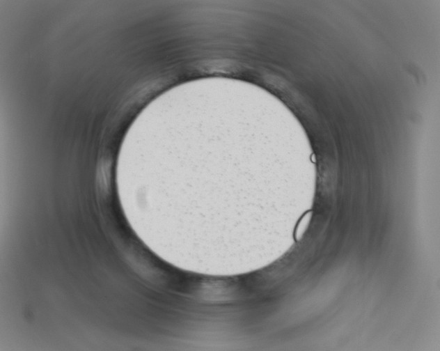 X0000113100070200910091148