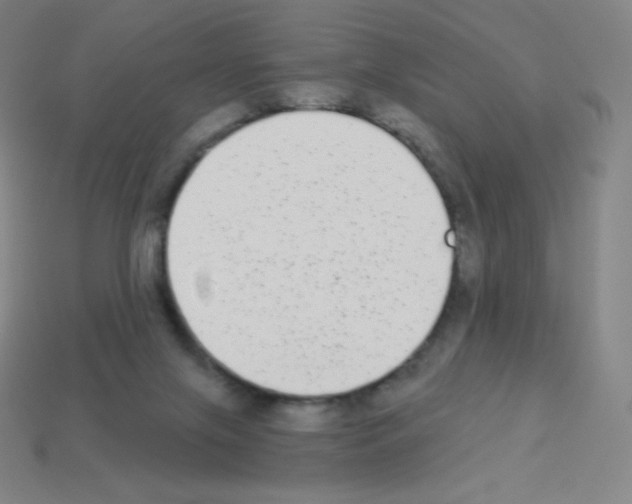 X0000113100071200910091148