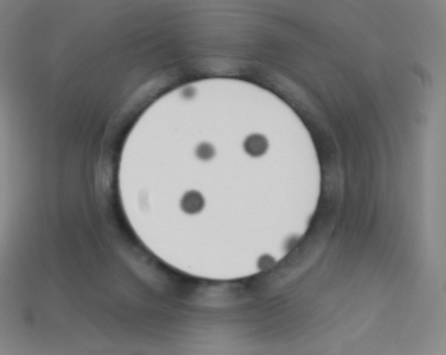 X0000113100072200910091148