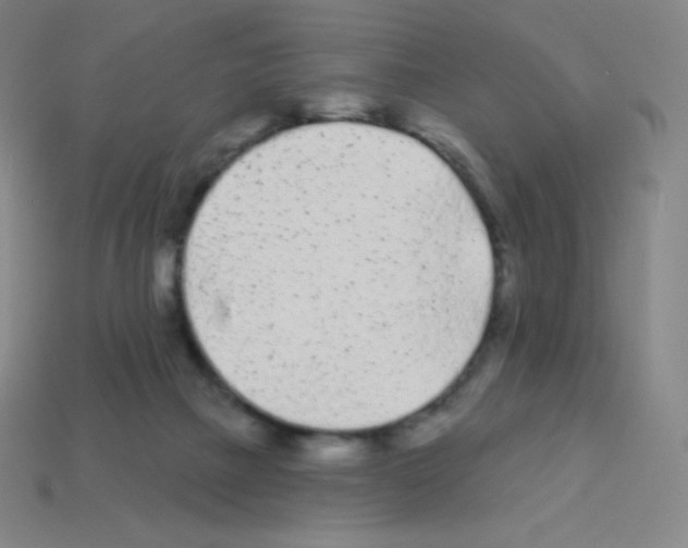 X0000113100073200910091148