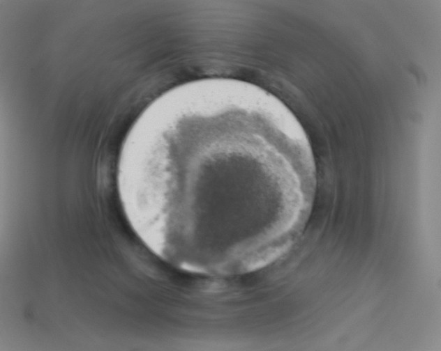 X0000113100074200910091148