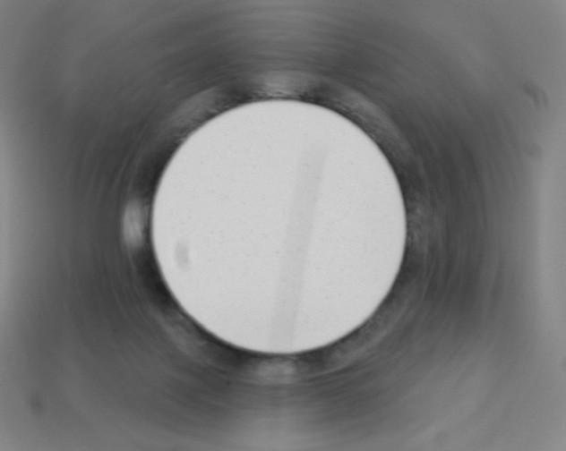 X0000113100075200910091148