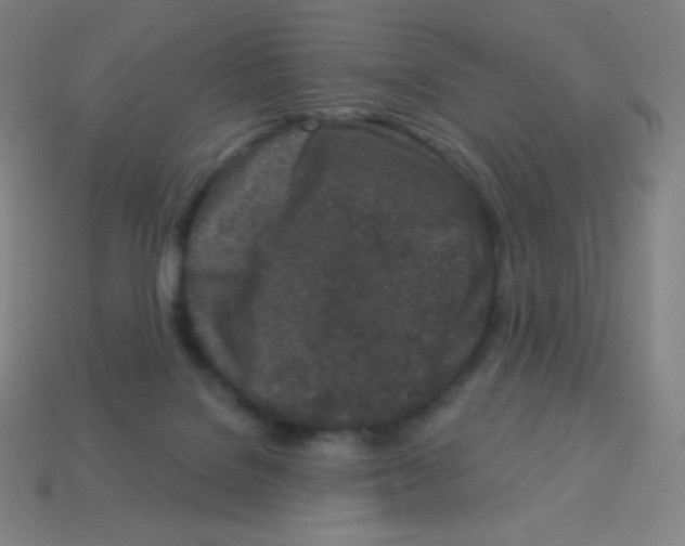 X0000113100076200910091148