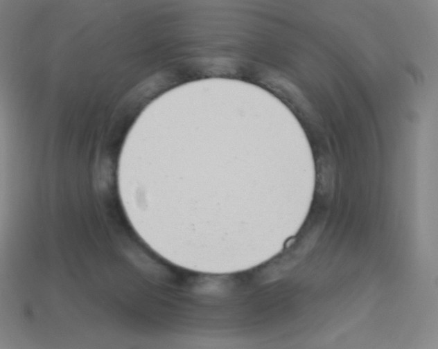 X0000113100077200910091148