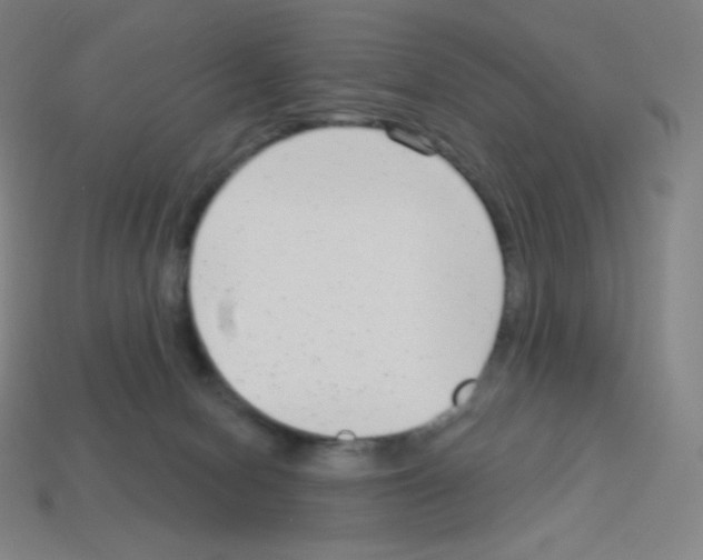 X0000113100078200910091148