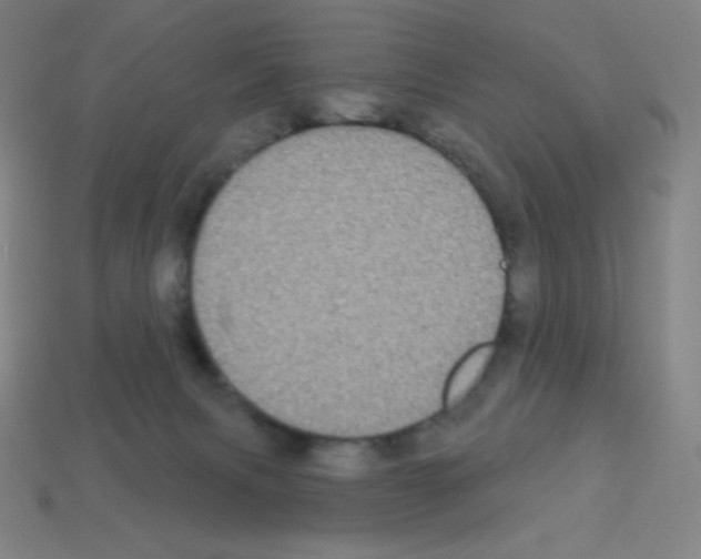X0000113100079200910091148