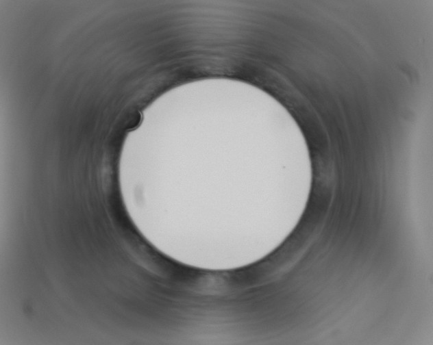 X0000113100080200910091148
