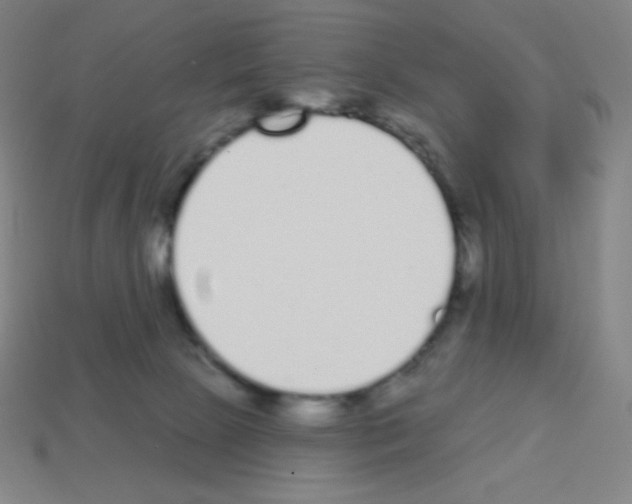 X0000113100081200910091148