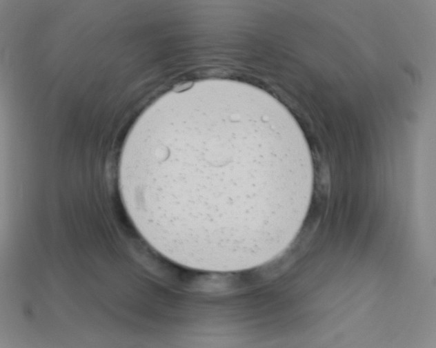 X0000113100082200910091148