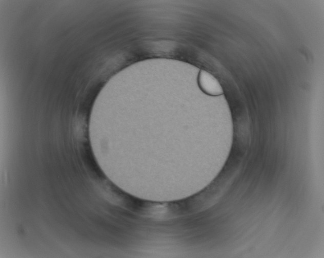X0000113100083200910091148