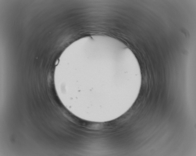 X0000113100084200910091148