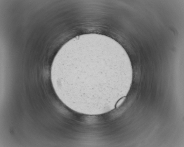 X0000113100085200910091148