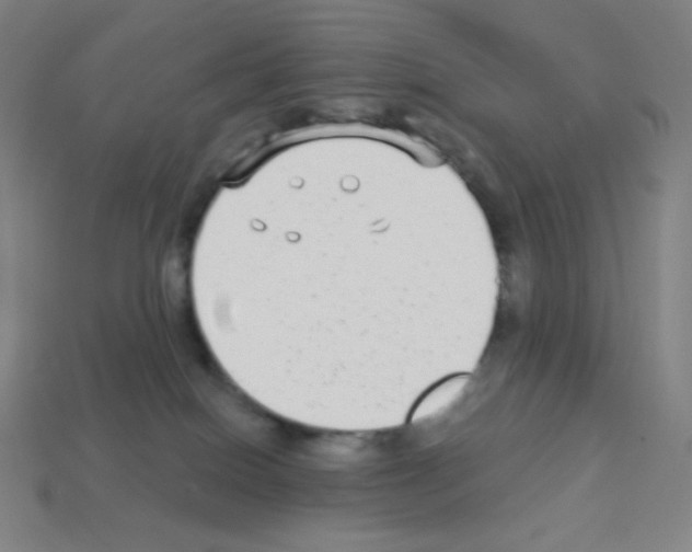 X0000113100086200910091148