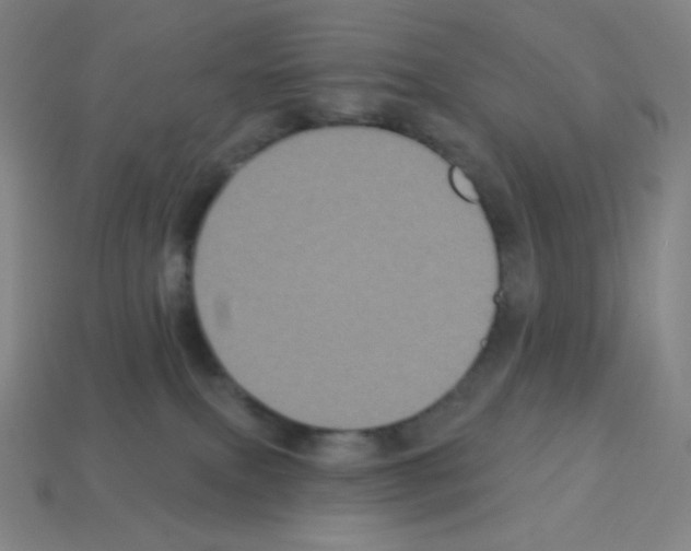 X0000113100087200910091148