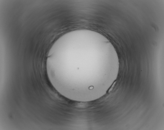X0000113100088200910091148