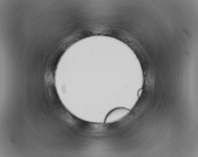 X0000113100089200910091148