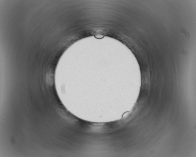 X0000113100090200910091148
