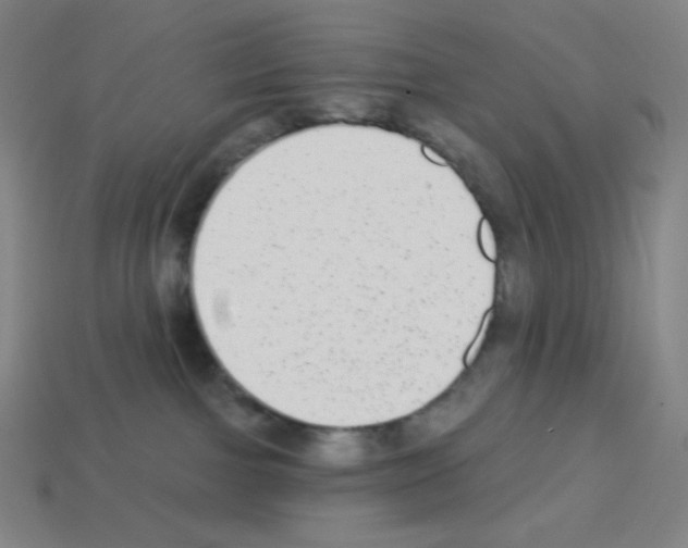 X0000113100091200910091148