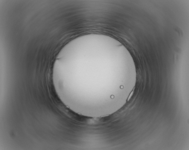 X0000113100092200910091148