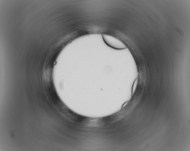 X0000113100093200910091148
