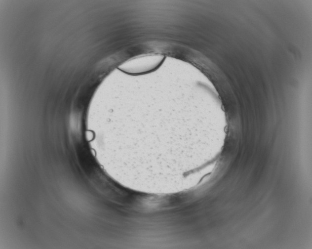 X0000113100094200910091148