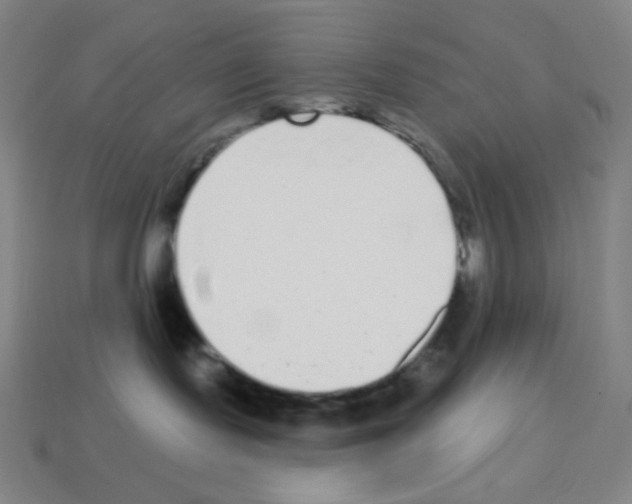 X0000113100095200910091148