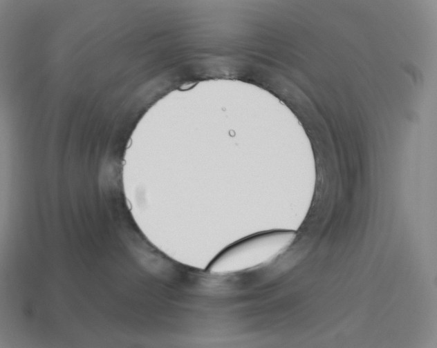 X0000113100096200910091148