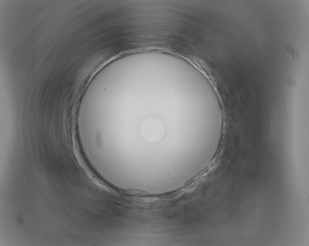 X0000113100097200910091147