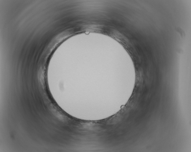 X0000113100098200910091147