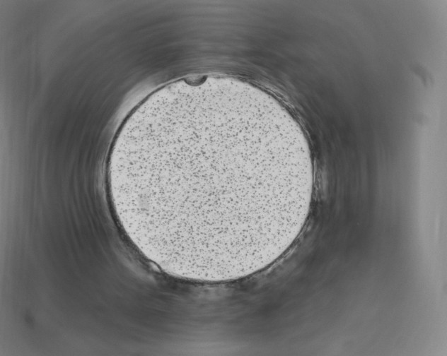 X0000113100099200910091147