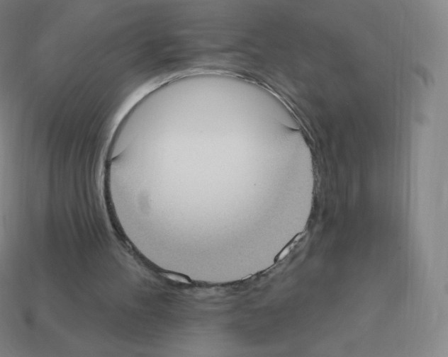 X0000113100100200910091147