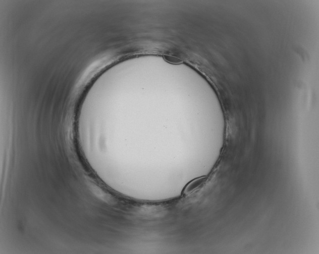 X0000113100101200910091147