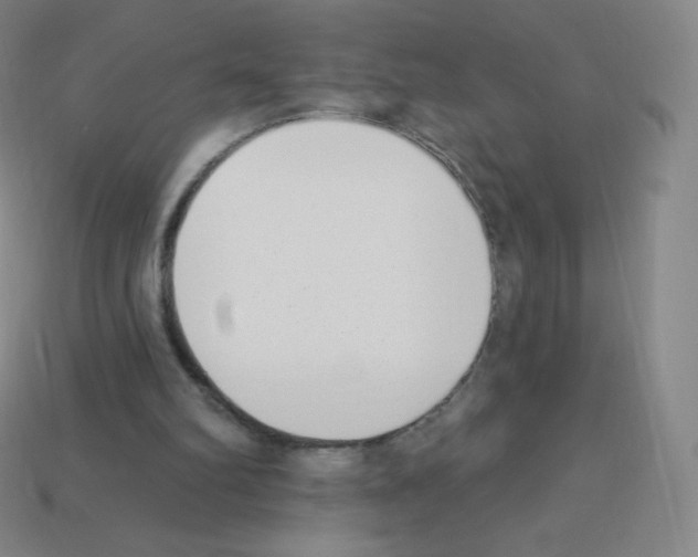 X0000113100102200910091147