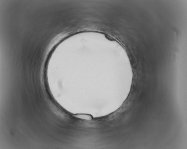 X0000113100104200910091147