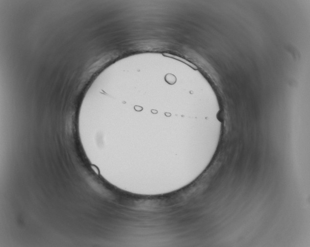 X0000113100105200910091147