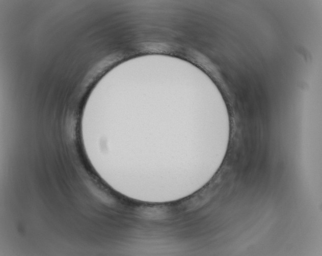 X0000113100106200910091147