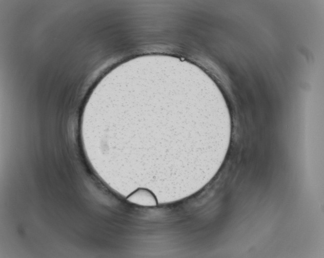 X0000113100107200910091147