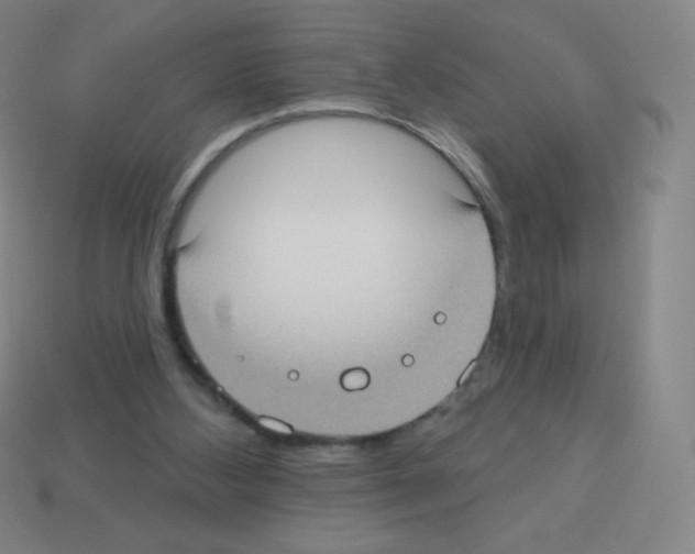 X0000113100108200910091147