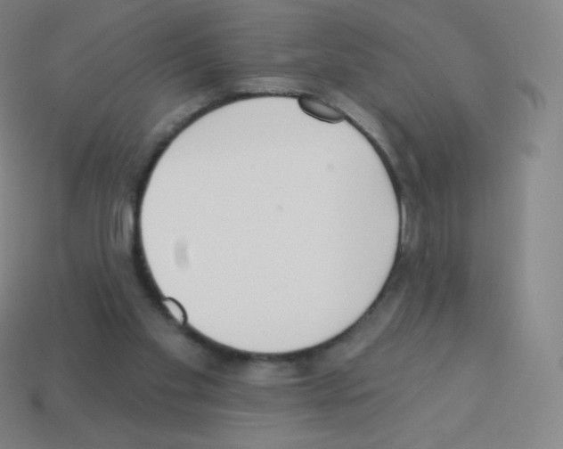 X0000113100109200910091147